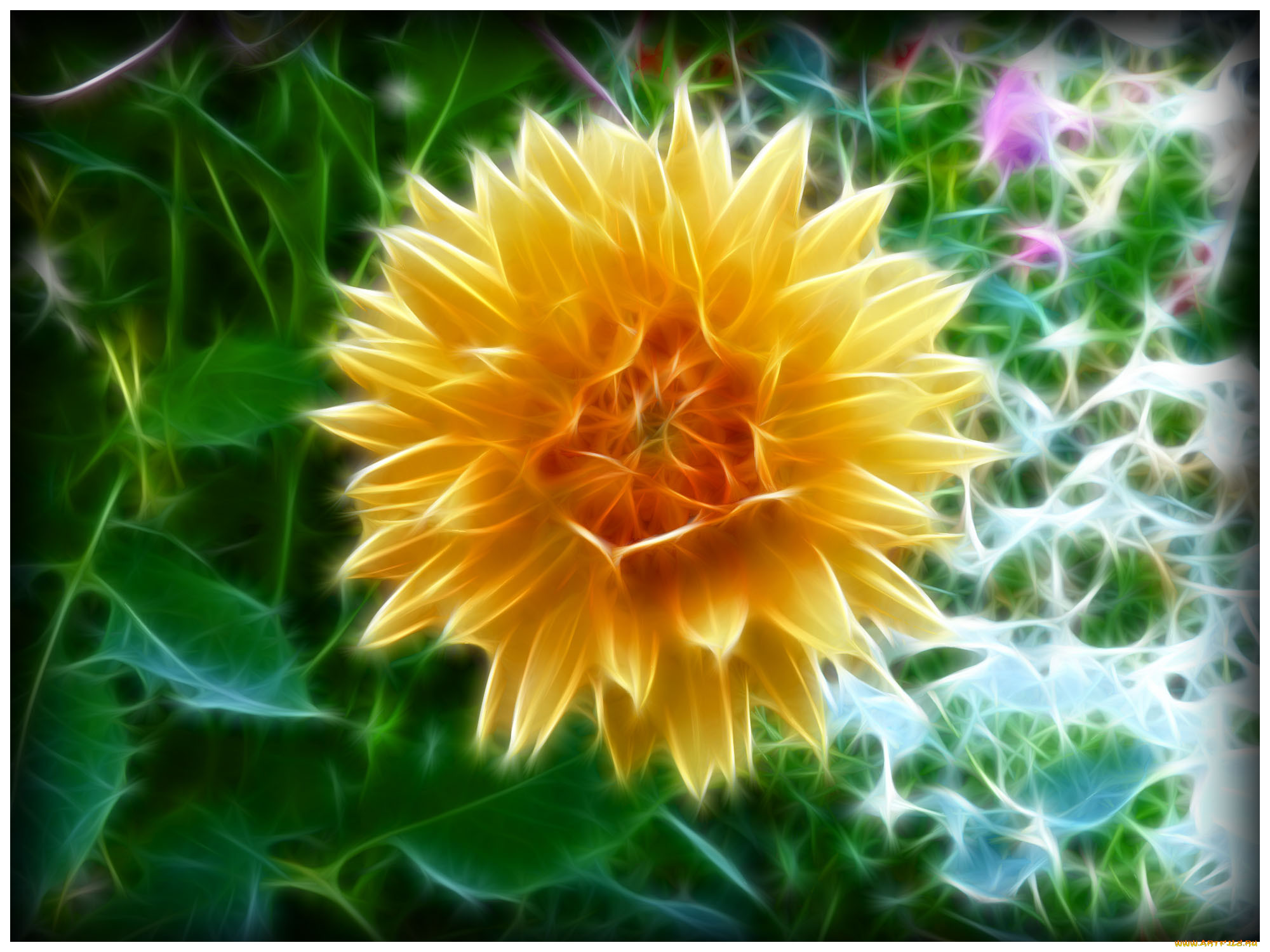3, , flowers, , , 